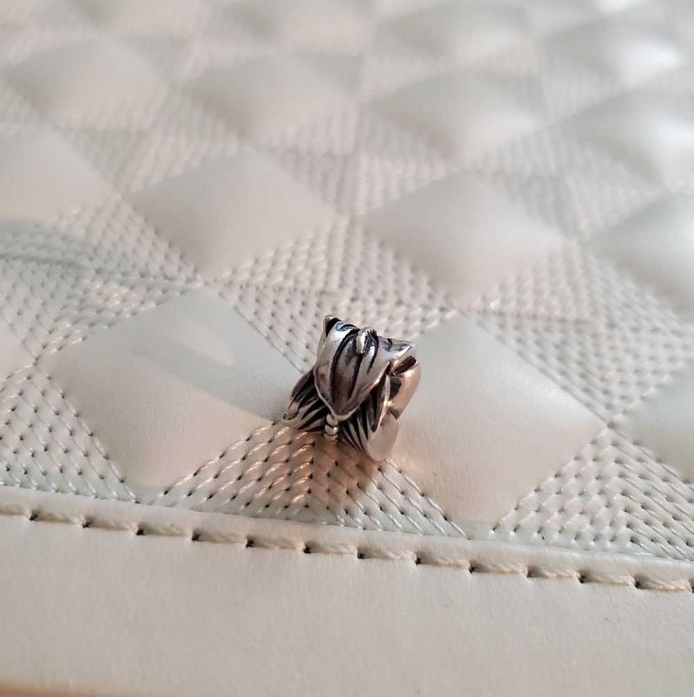 Pandora feather charm